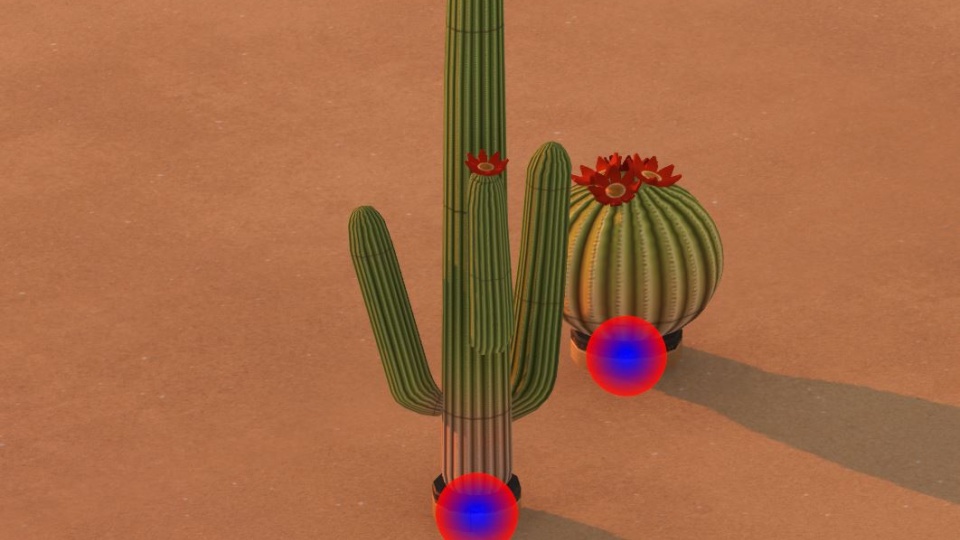 Cactus Indicator